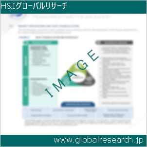 グローバルリサーチ調査レポートのイメージ